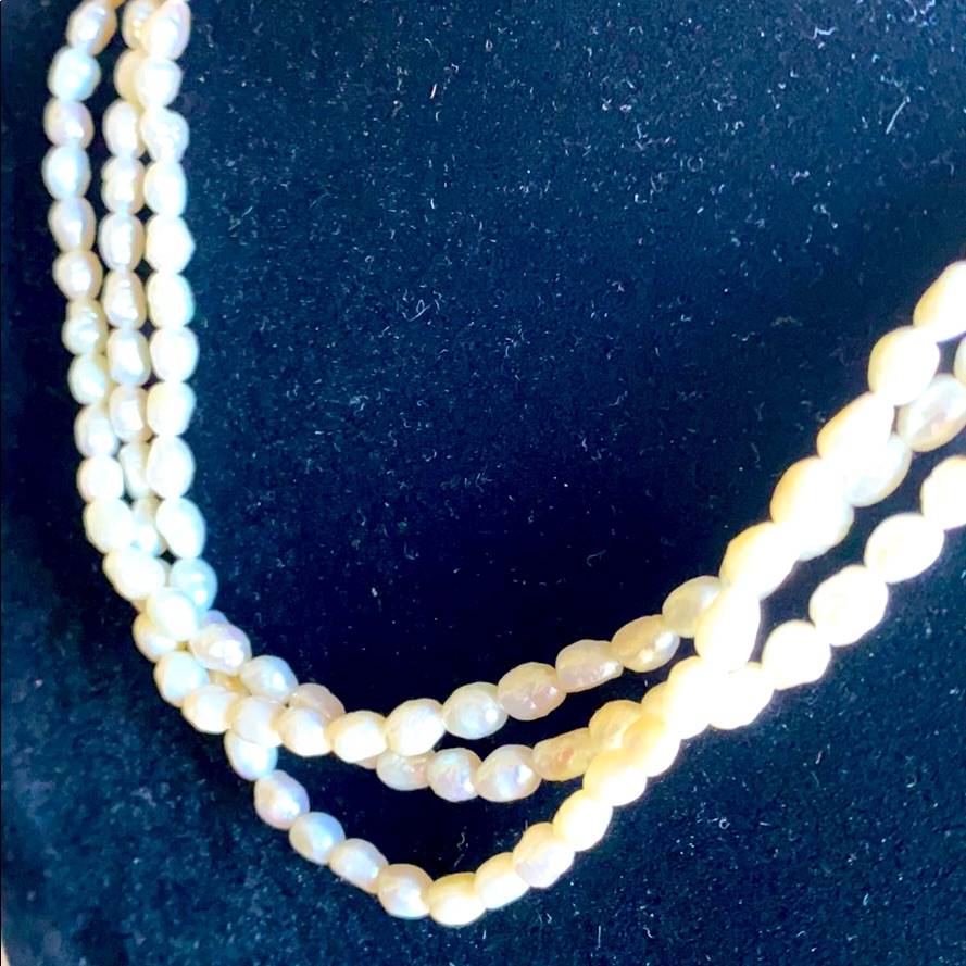 Shell Mother Of Pearl